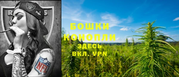 spice Вяземский