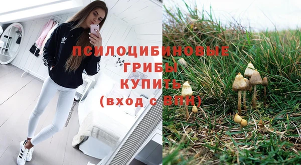 spice Вяземский