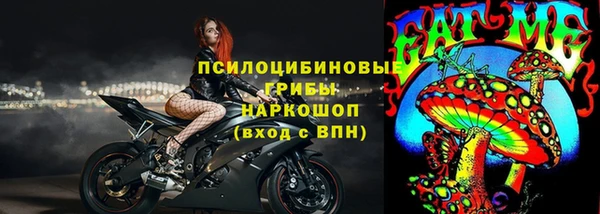 spice Вяземский