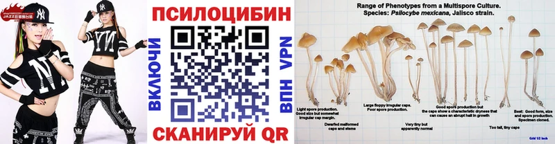 Псилоцибиновые грибы Psilocybe  купить наркотик  Ковров 